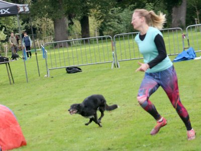 Concours d'agility, les photos du samedi