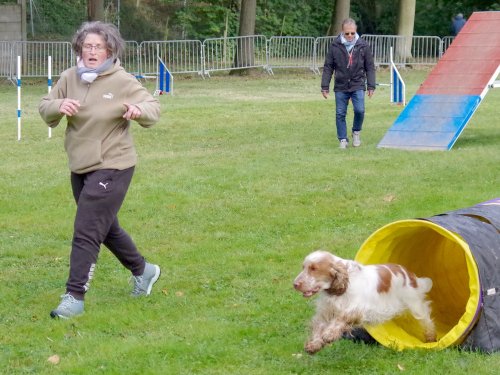 Concours d'agility, Châtenoy le royal 29 septembre 2024