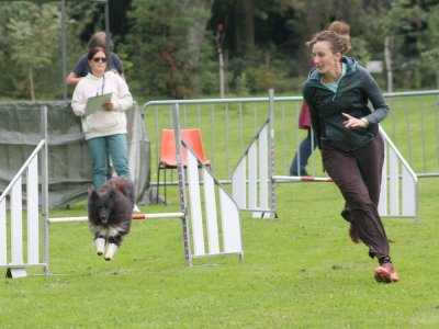 Concours d'agility, les photos du samedi