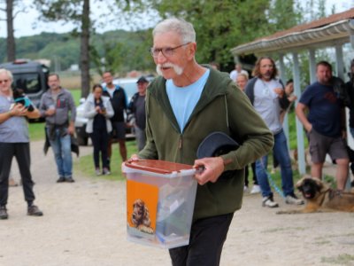 Concours d'agility,  les photos du dimanche