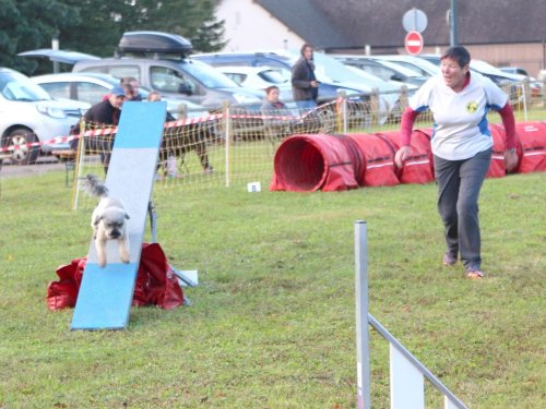 Concours d'agility, Fontaines 14 et 15 septembre 2024