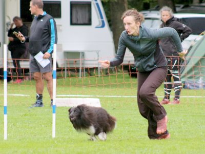 Concours d'agility, les photos du samedi