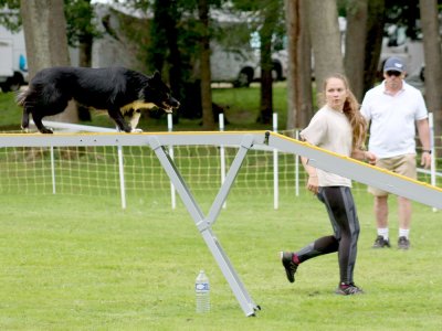 Concours d'agility, les photos du samedi