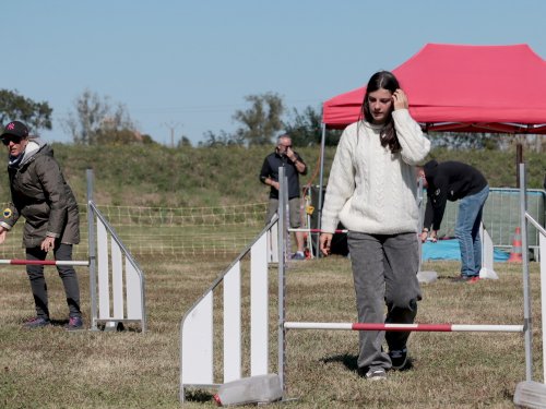 Concours d'agility, Fontaines 14 et 15 septembre 2024