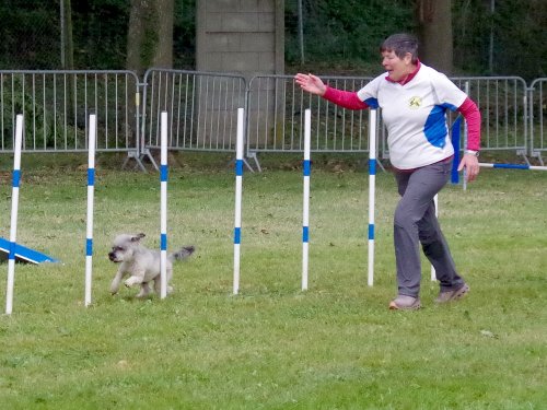 Concours d'agility, Châtenoy le royal 29 septembre 2024