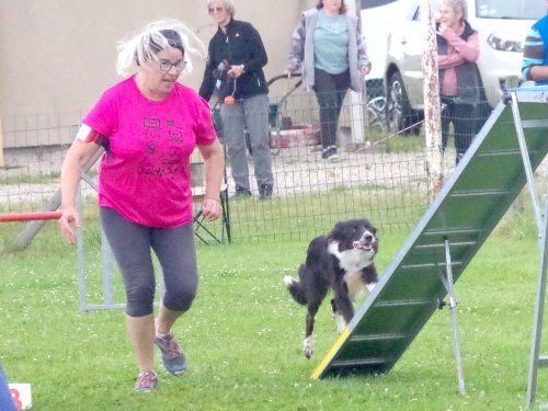 Concours d'agility, Montret, 23 juin 2024