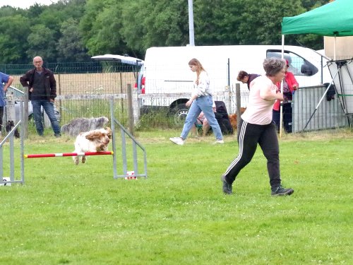 Concours d'agility, Montret, 23 juin 2024