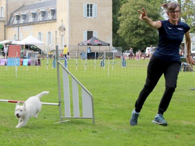 Concours d'agility,  les photos du dimanche