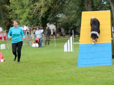 Concours d'agility,  les photos du dimanche