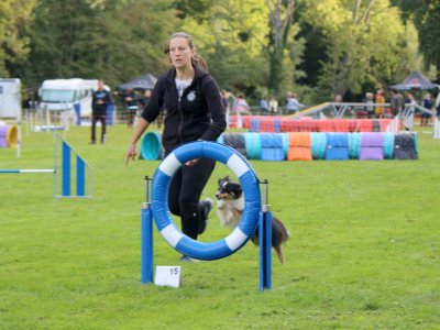 Concours d'agility,  les photos du dimanche