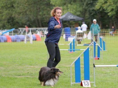 Concours d'agility, les photos du samedi