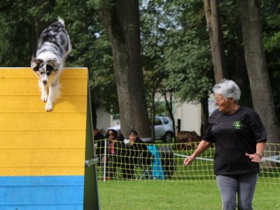 Concours d'agility,  les photos du dimanche