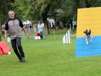 Concours d'agility,  les photos du dimanche