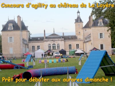 Concours d'agility, les photos du samedi