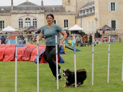 Concours d'agility,  les photos du dimanche