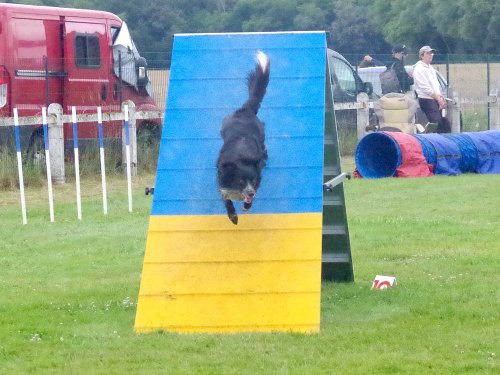 Concours d'agility, Montret, 23 juin 2024