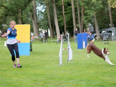 Concours d'agility,  les photos du dimanche