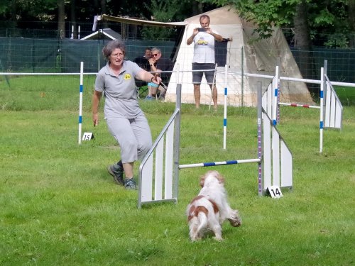 Concours d'agility, Sanvignes, 27 juillet 2024