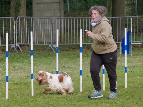 Concours d'agility, Châtenoy le royal 29 septembre 2024