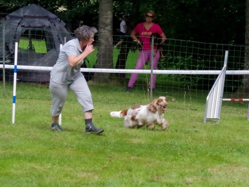 Concours d'agility, Sanvignes, 27 juillet 2024