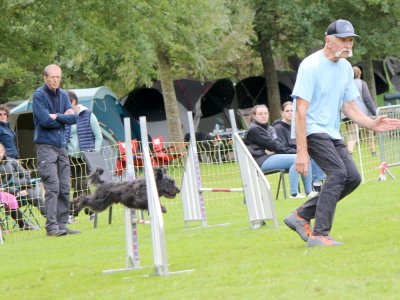 Concours d'agility,  les photos du dimanche
