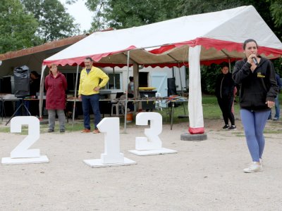 Concours d'agility,  les photos du dimanche