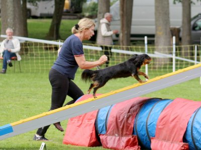 Concours d'agility, les photos du samedi