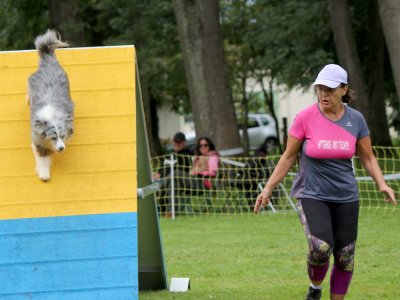 Concours d'agility,  les photos du dimanche