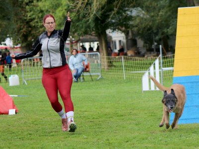 Concours d'agility,  les photos du dimanche