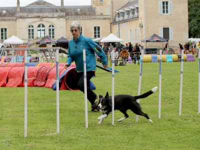 Concours d'agility,  les photos du dimanche