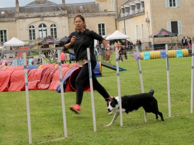Concours d'agility,  les photos du dimanche