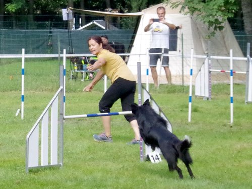 Concours d'agility, Sanvignes, 27 juillet 2024