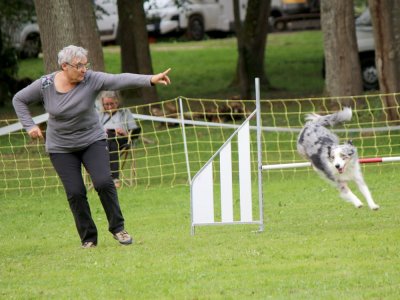 Concours d'agility,  les photos du dimanche