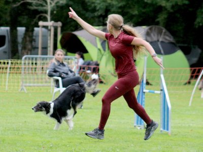 Concours d'agility, les photos du samedi