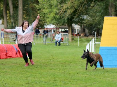 Concours d'agility,  les photos du dimanche