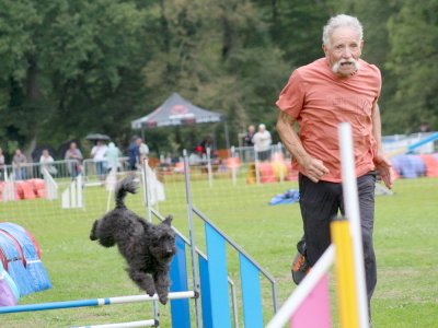 Concours d'agility, les photos du samedi