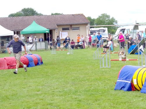 Concours d'agility, Montret, 23 juin 2024