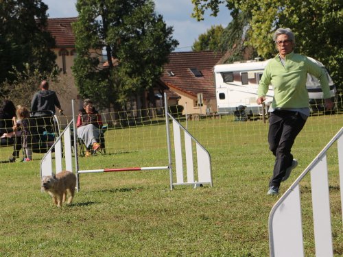 Concours d'agility, Fontaines 14 et 15 septembre 2024