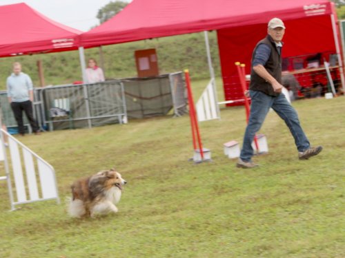 Concours d'agility, Fontaines 14 et 15 septembre 2024