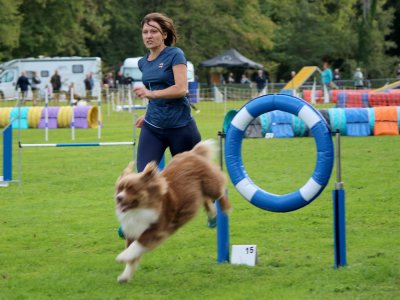 Concours d'agility,  les photos du dimanche