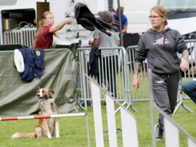 Concours d'agility, les photos du samedi