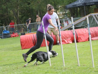 Concours d'agility, les photos du samedi