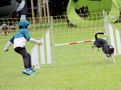 Concours d'agility,  les photos du dimanche