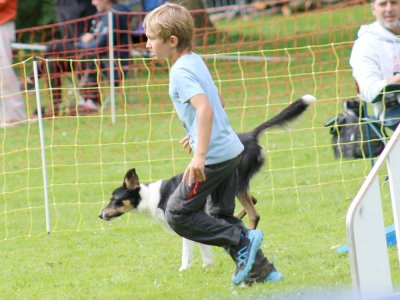 Concours d'agility, les photos du samedi