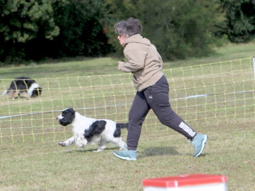 Concours d'agility, Fontaines 14 et 15 septembre 2024