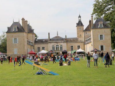 Concours d'agility, les photos du samedi