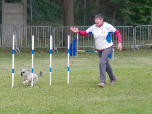 Concours d'agility, Châtenoy le royal 29 septembre 2024