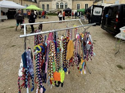 Concours d'agility,  les photos de l'organisation