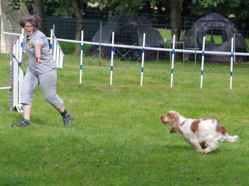 Concours d'agility, Sanvignes, 27 juillet 2024