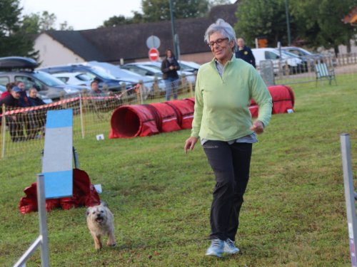 Concours d'agility, Fontaines 14 et 15 septembre 2024